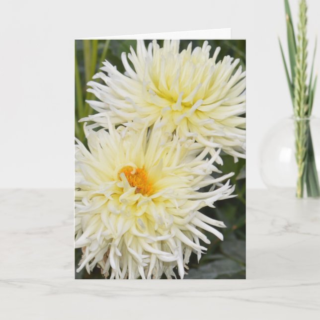 Notecard mit zwei weißen Dahlien Karte (Vorderseite)