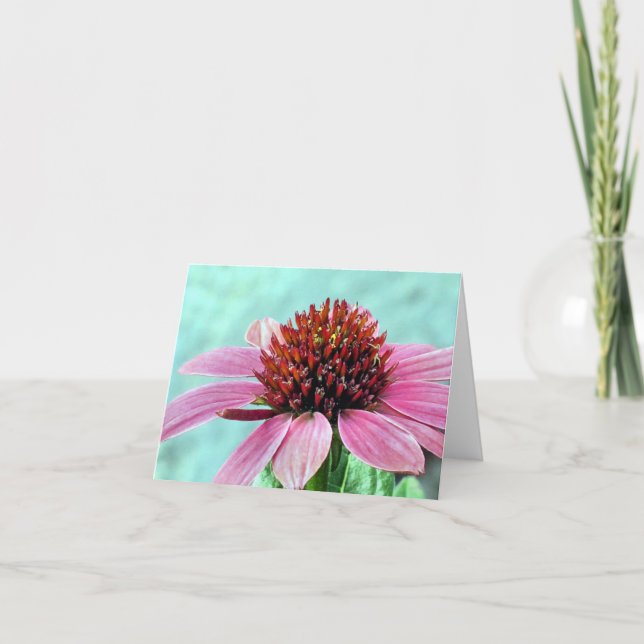 Notecard - rosa Sitzblende Karte (Vorderseite)