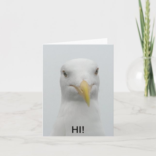 Notecard - Seagull sagt "Hi!" Karte (Vorderseite)