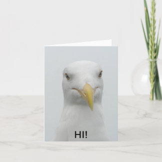 Notecard - Seagull sagt "Hi!" Karte