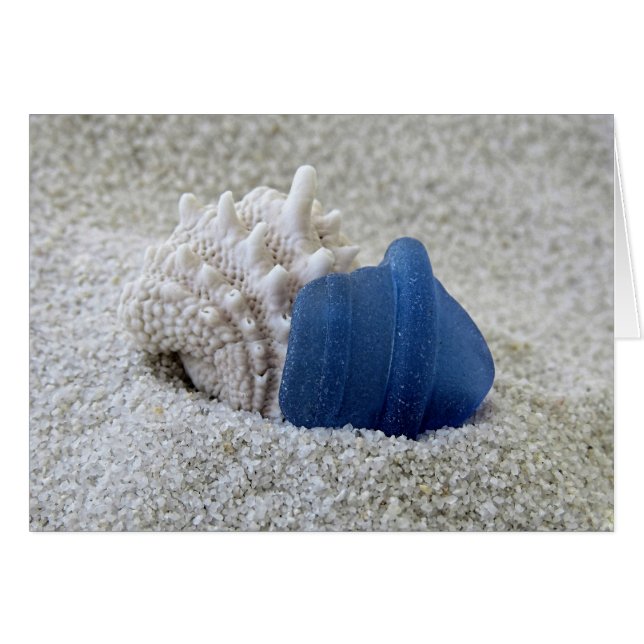Notecard - Seashell und Blauer See (Vorderseite (Horizontal))