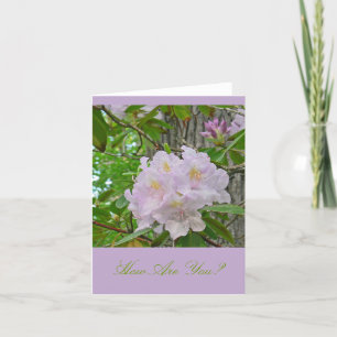 NOTECARD, "SOFT PALE LAVENDER RHODODENDRON" KARTE