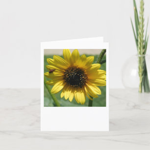 Notecard Sunflower 2 Karte