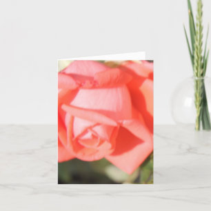 Notecards für die Korallen-Rose Dankeskarte