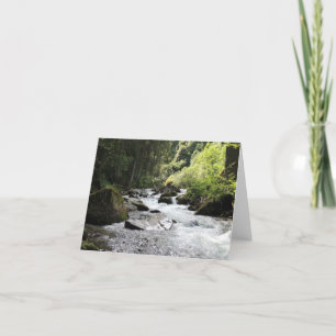 Notecards für Wälder und Flecken Karte