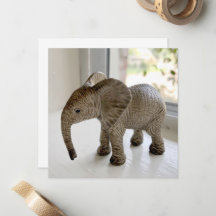 Notecards