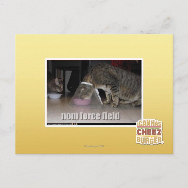 Notenkraftfeld Postkarte (Vorderseite)