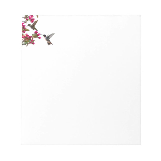Notepad Hummingbirds Notizblock (Vorderseite)