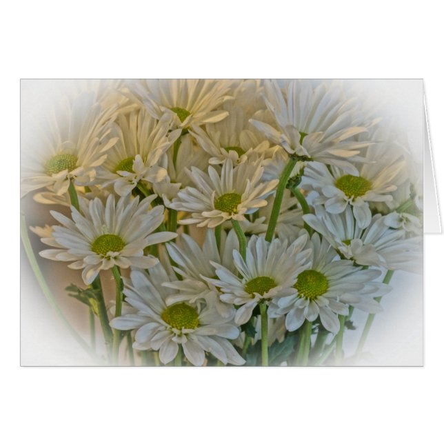 Notes de marguerite (Devant Horizontal)