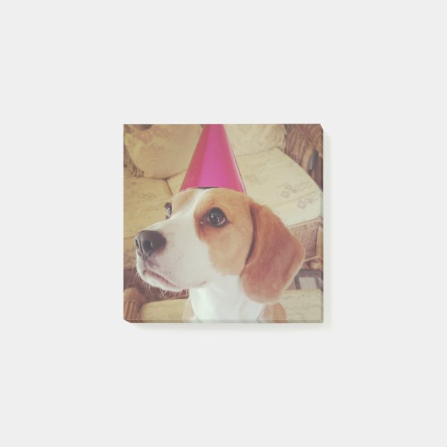Notes de post-it de beagle d'anniversaire (Devant)
