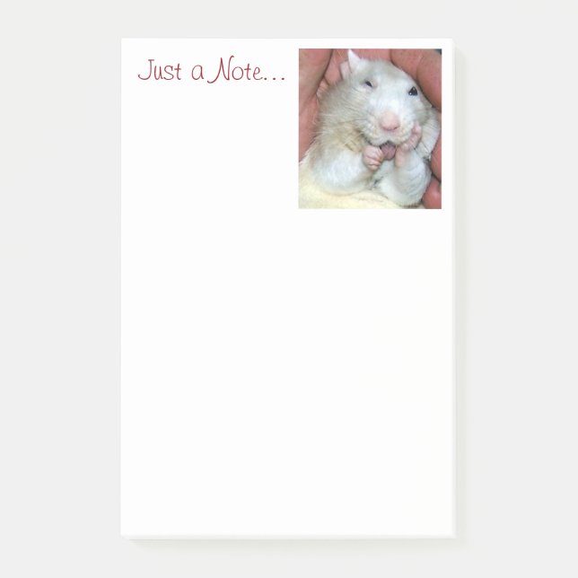 Notes de post-it de Bridget de rat d'animal (Devant)