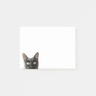 Notes de post-it de chat