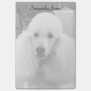 Notes de post-it de chien de caniche