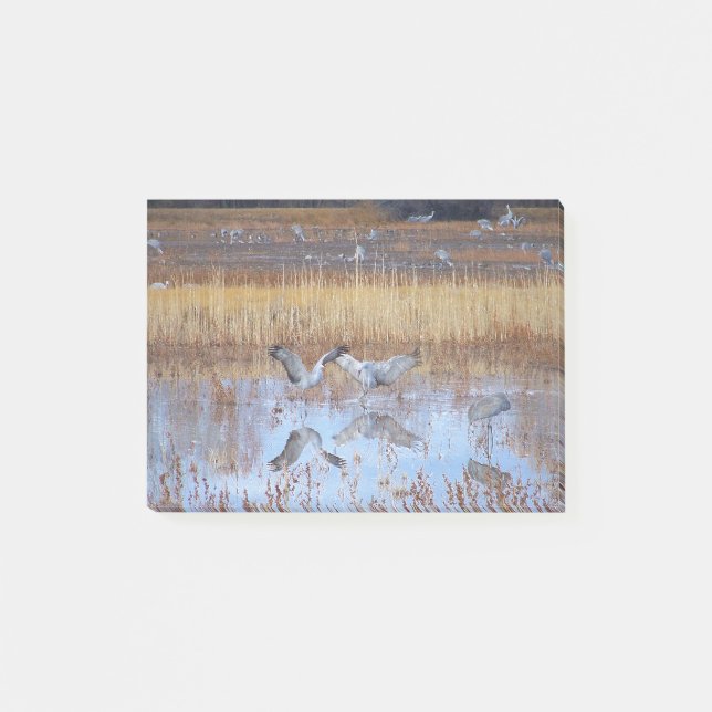 Notes de post-it de faune de danse d'oiseaux de (Devant)