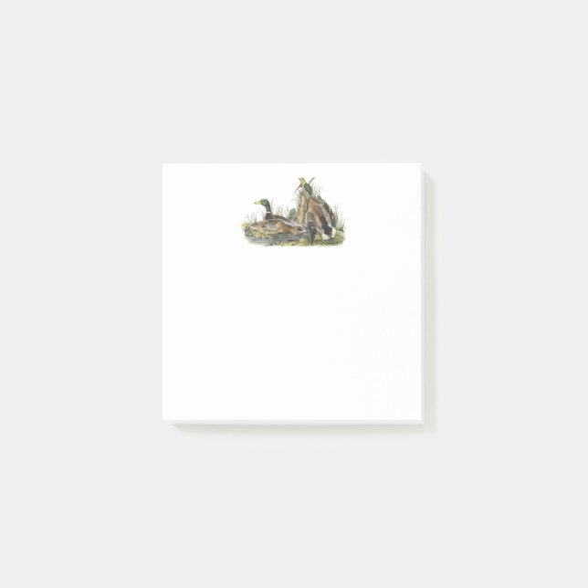 Notes de post-it des canards 3x3 de Mallard (Devant)