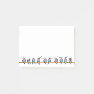 Notes de post-it paranoïdes de colibris