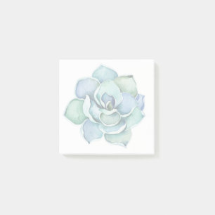 Notes de post-it succulentes