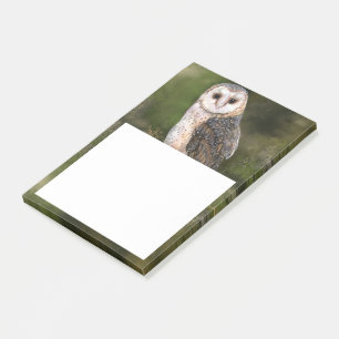 Notes Post-it® de la Chouette