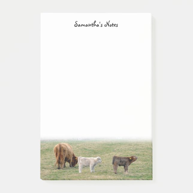 Notes post-it de la vache Highland (Devant)