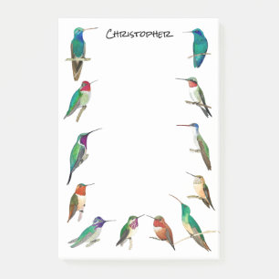 Notes post-it personnalisées des colibris nord-amé