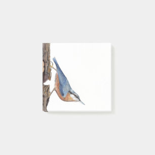 Notes post-it® pour oiseaux en nuthatch en bois, 3
