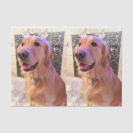 Notieren Sie das goldene Retriever-Gewebepapier Seidenpapier