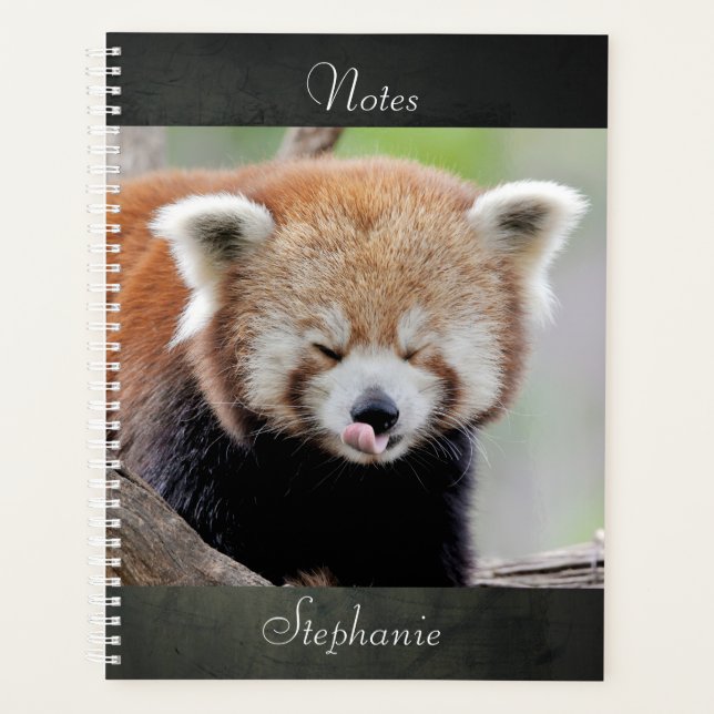 Notizbuch Foto Rote Panda , Tiere 03. Notizbuch Planer (Vorderseite)