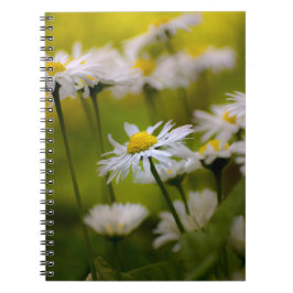 Notizbuch - Gänseblümchen-Fotografie Notizblock