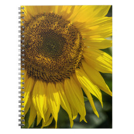 Notizbuch - Gelbe Sonnenblume Notizblock