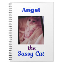 Notizbuch mit der frechen Katze Engel