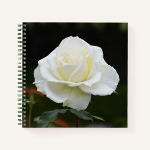 Notizbuch mit weißer Rosa Blume