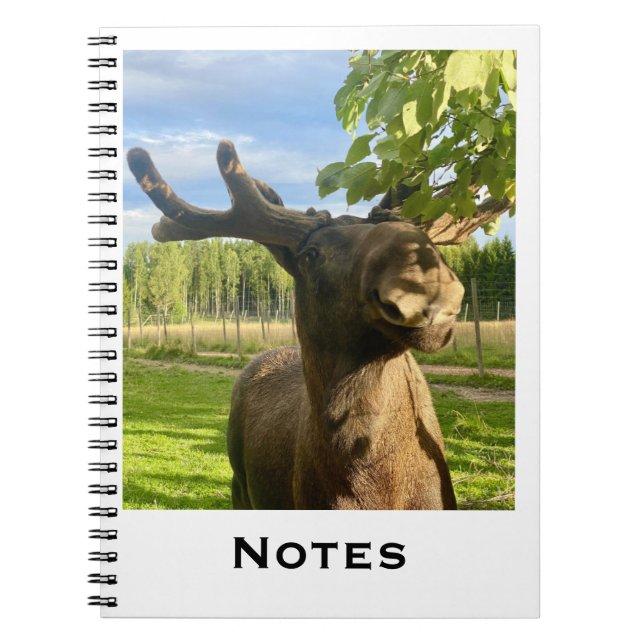 Notizbuch Notizblock (Vorderseite)