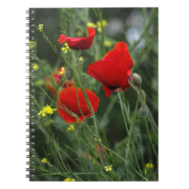 Notizbuch - Rote Mohnblumen Notizblock
