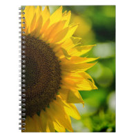 Notizbuch - Sonnenblume auf dem Feld