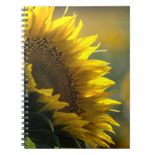 Notizbuch - Sonnenblumenfeld Rätsel Notizblock