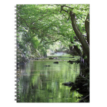 Notizbuch Waldbach