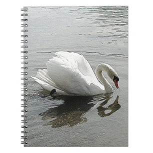 Notizbuch weißer Schwan, reflektiert im grauen Was Notizblock