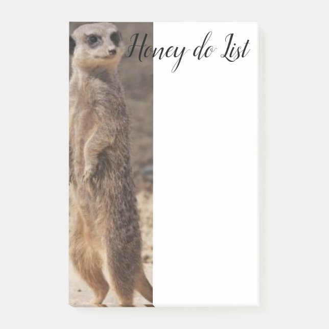 Notizen Meerkat (Vorderseite)