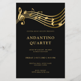 Notizen zum benutzerdefinierten Concert Flyer Temp