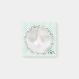 Notizen zum benutzerdefinierten Foto im Comic