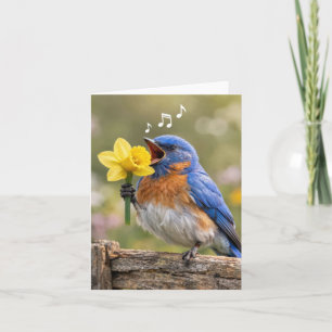 Notizkarte Blaumeise singt mit einer gelben Daffod Karte