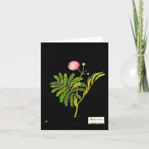 Notizkarte - Botanische Kunst - Mary Delany 15 Karte