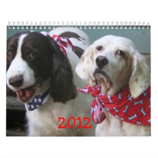 Notre calendrier 2012 de paquet