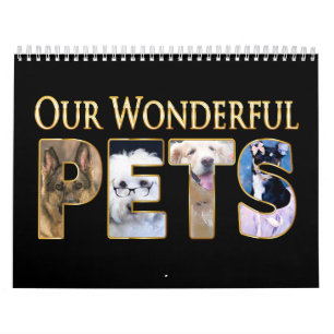 Notre Calendrier Animaux, Chiens à leur meilleur