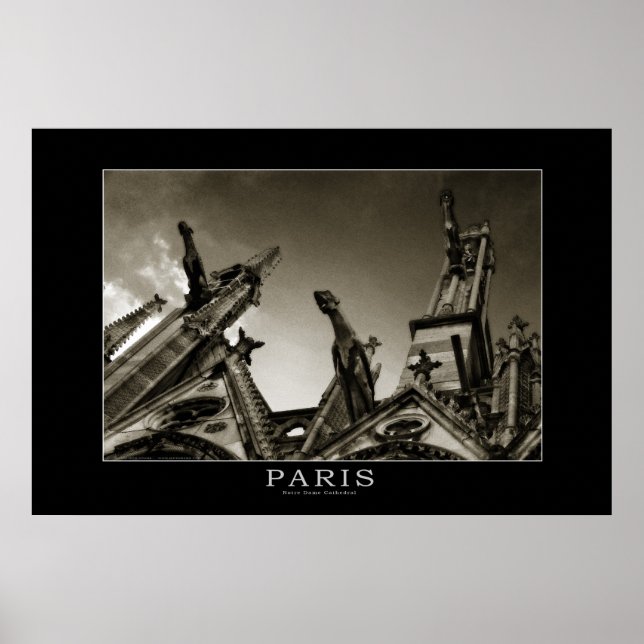 Notre Dame Cathedral Poster (Vorne)