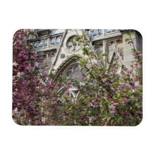 Notre Dame-Frühling Magnet