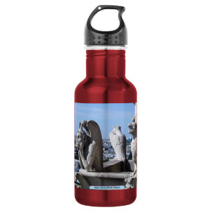 Notre Dame, Paris, Frankreich Edelstahlflasche