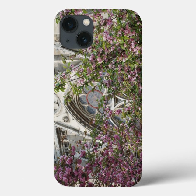 Notre Dame spring Case-Mate iPhone Hülle (Rückseite)