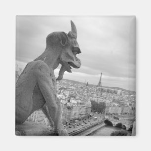 Notre Dame-Wasserspeier-Magnet Magnet