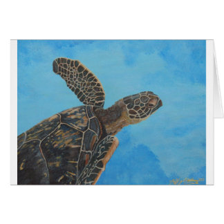 notre hanu 5x6,5 300